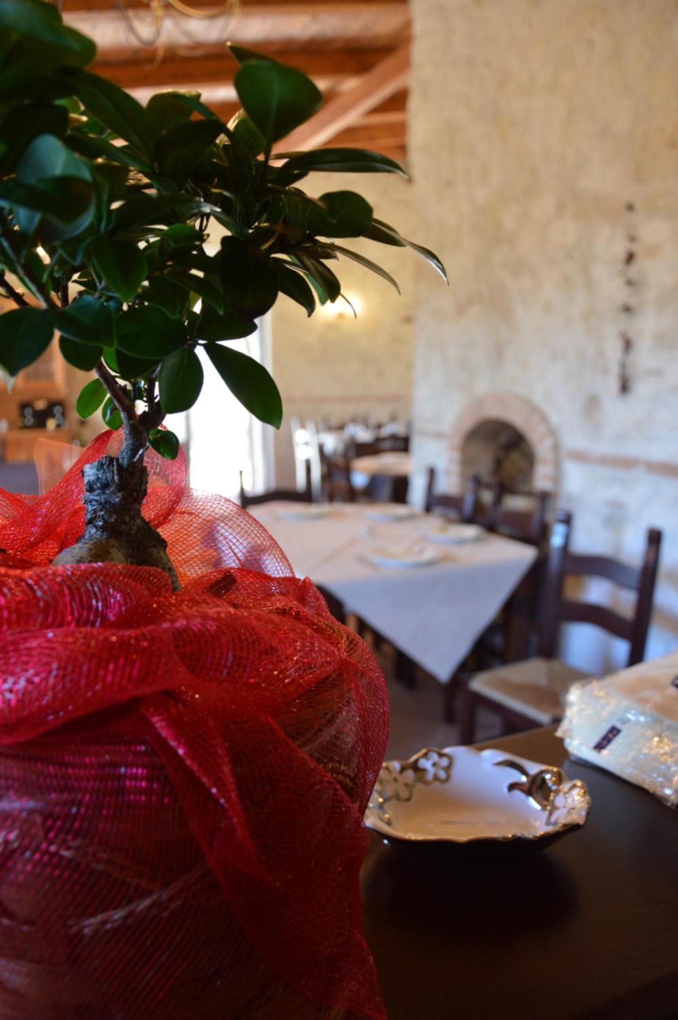 Borgo Carida - Green Family Holidays Zaccanopoli Экстерьер фото
